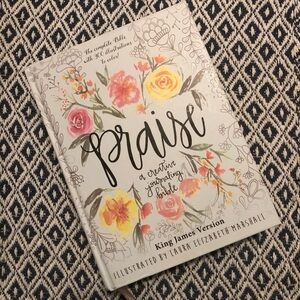 Praise Creative Journaling Bible